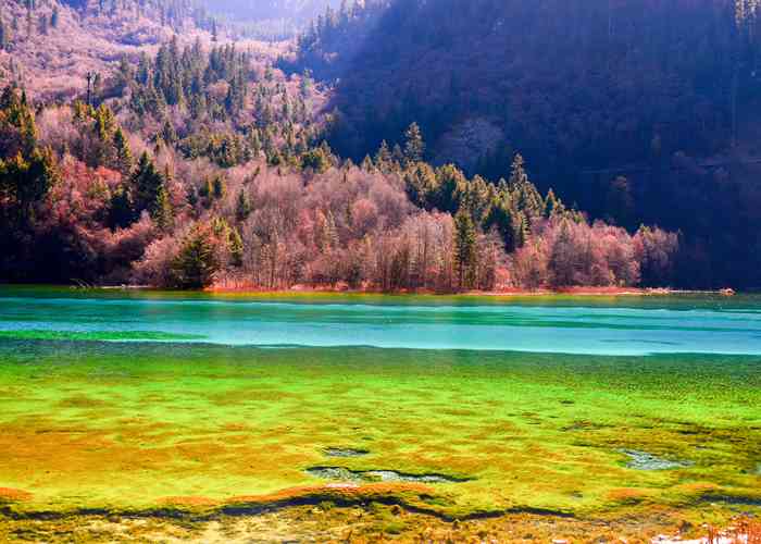 九寨沟十月旅行全攻略，预算、景点与体验-第3张图片-四川省中国青年旅行社